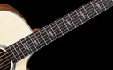 GA2-150Neck.jpg?format=2500w