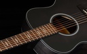 M2-131BKnecksoundhole.jpg?format=2500w