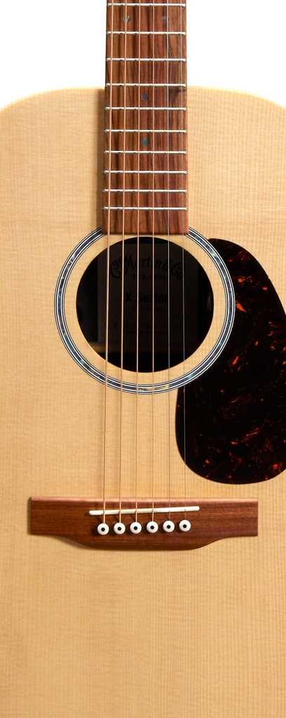 0-X2E-Cocobolo_t.jpg