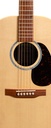 0-X2E-Cocobolo_t.jpg