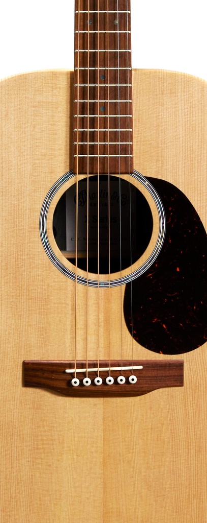 00-X2E-Cocobolo_t.jpg