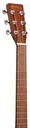 D-X2E-Mahogany_h.jpg