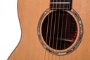 AM-AUS-F1-AUSTIN-FULL-BODY-MAHOGANY-SPRUCE-3-2019.jpg
