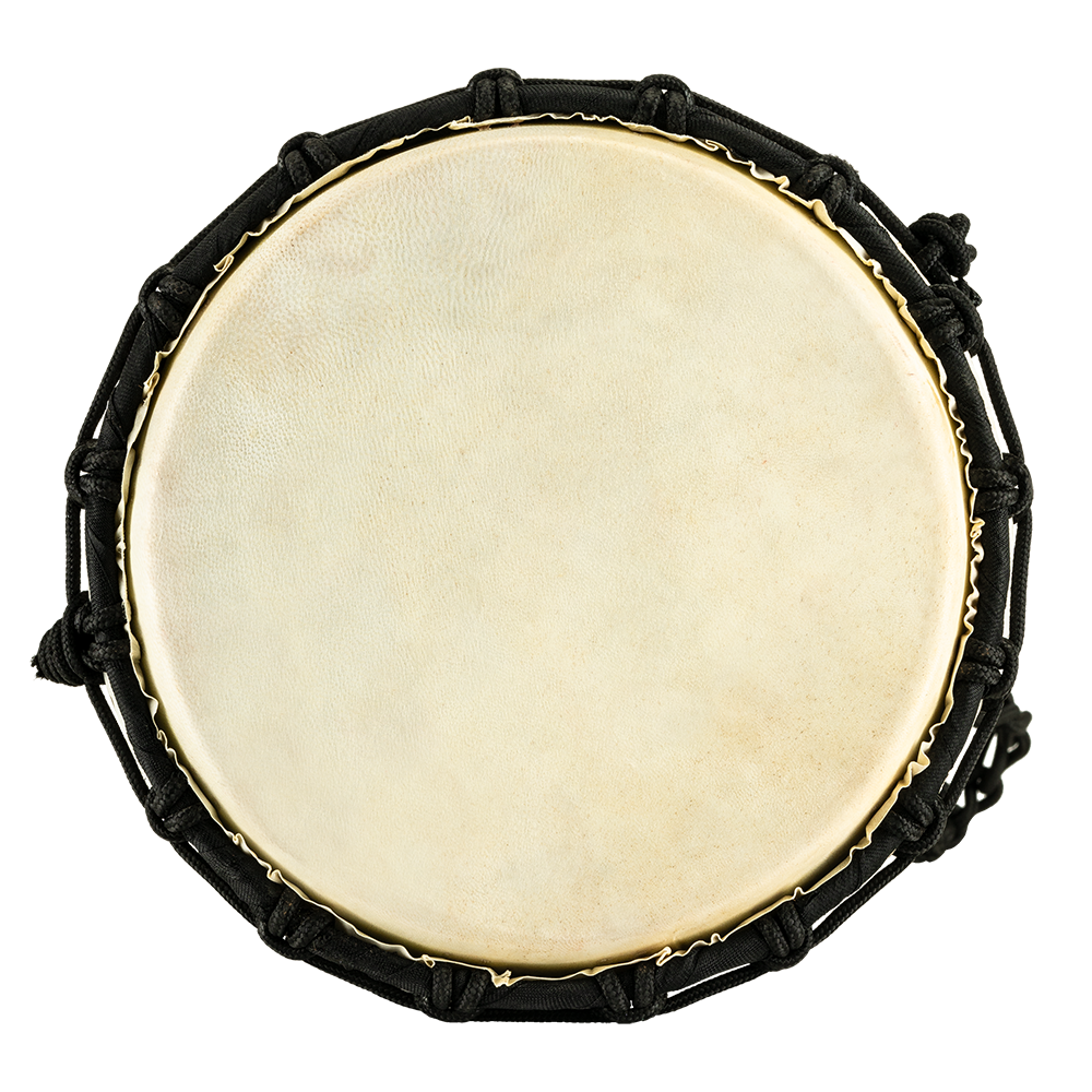 HDJ1-S_web_detail_03.png