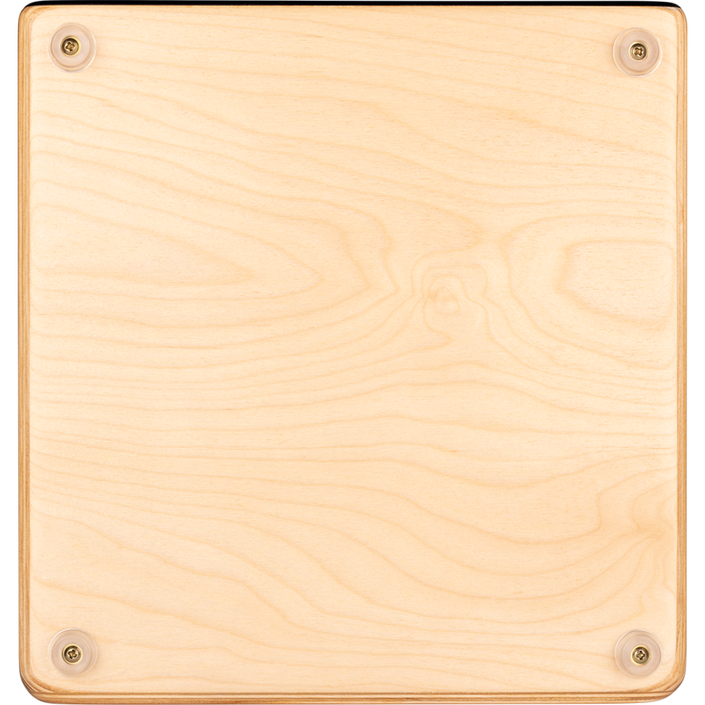 PAESLDOB_web_detail_04.png