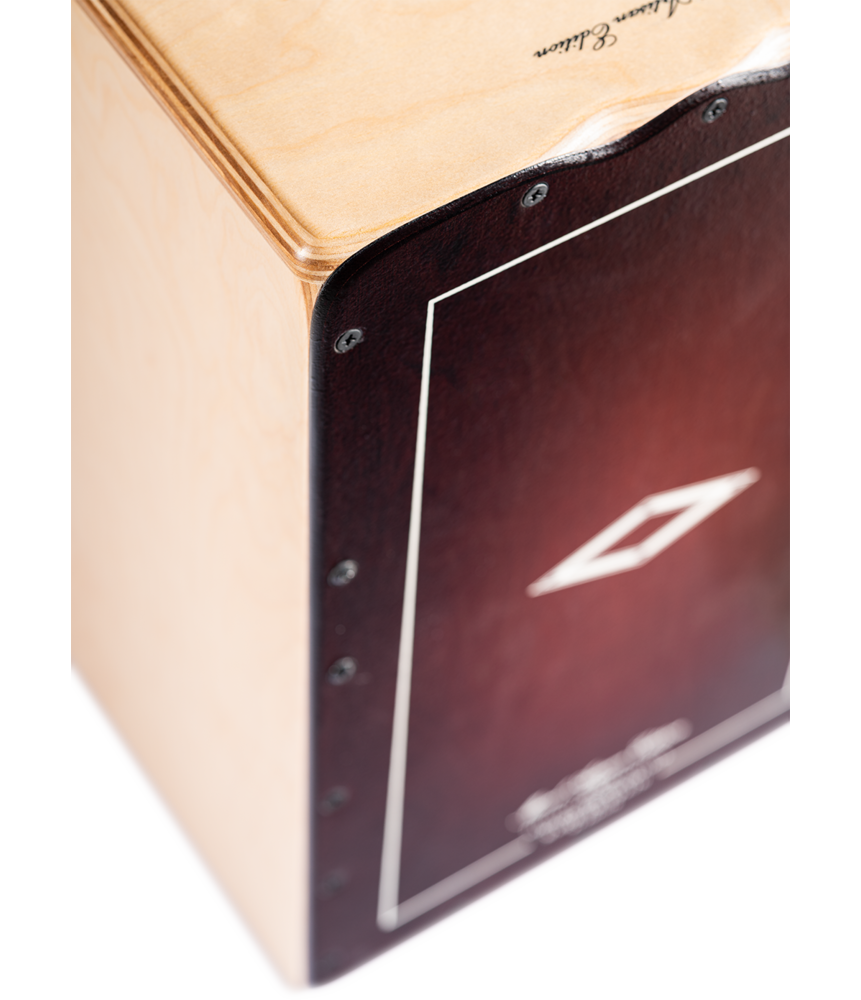 AESLRB_web_detail_02.png