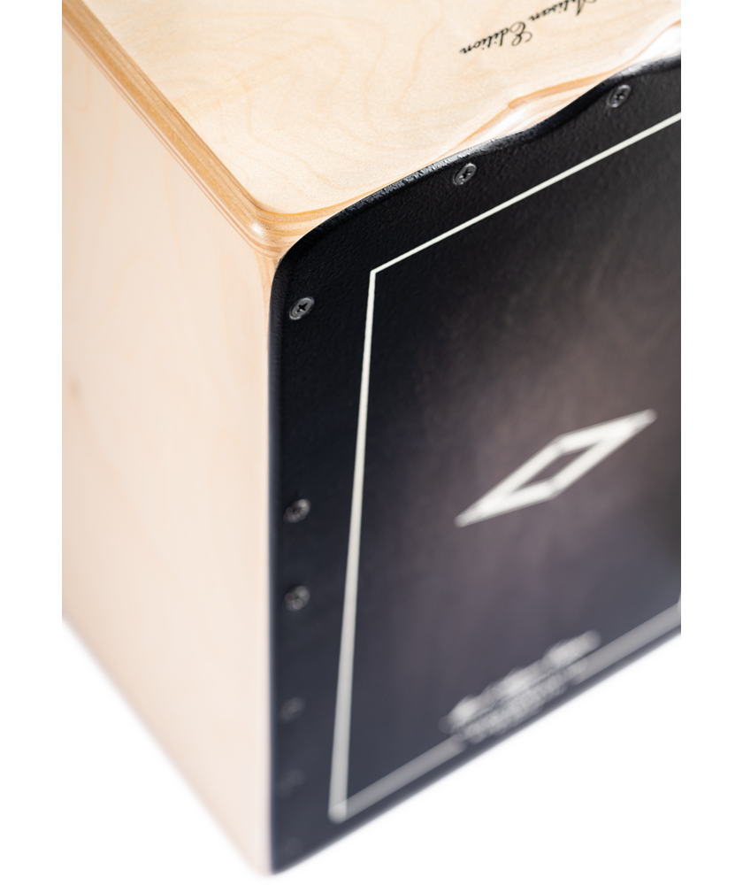 AESLEYB_web_detail_02.png