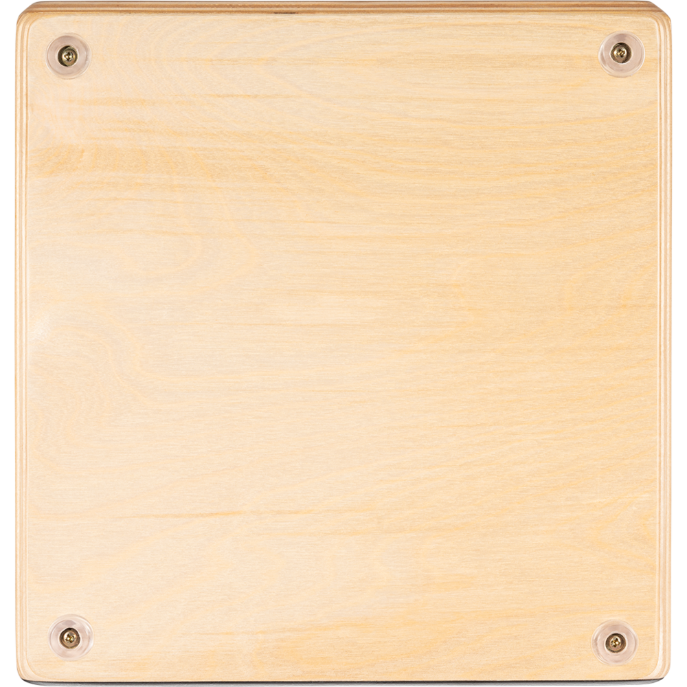 AESLEYB_web_detail_04.png