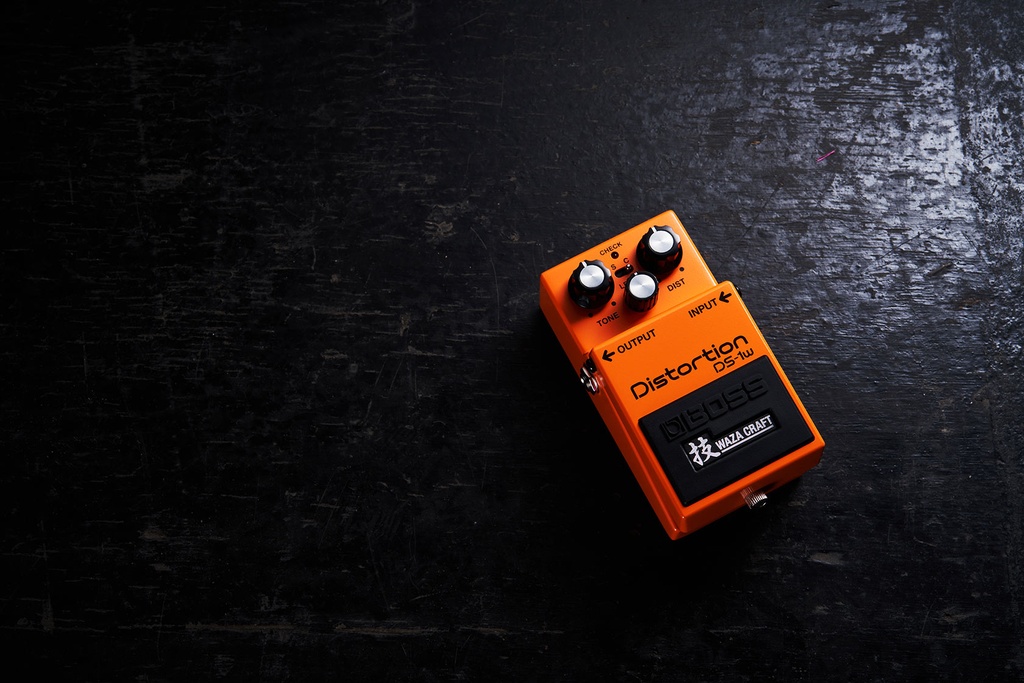 ds-1w_05_gal.jpg