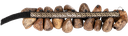 e97e7c74-35f5-4571-9a53-cf97dfba0d0f.png
