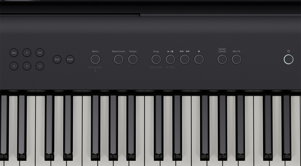 fp-e50_panel_right.jpg