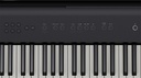 fp-e50_panel_right.jpg