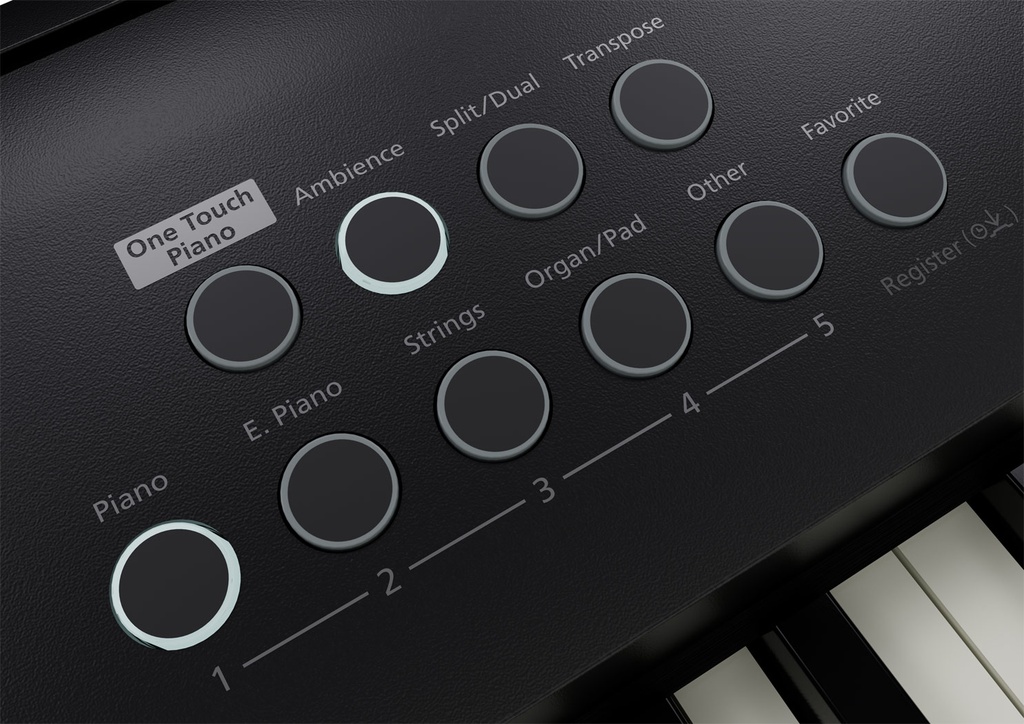 fp-e50_panel_sounds.jpg
