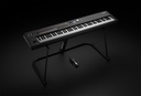 rd-2000_stand_pedal_gal.jpg