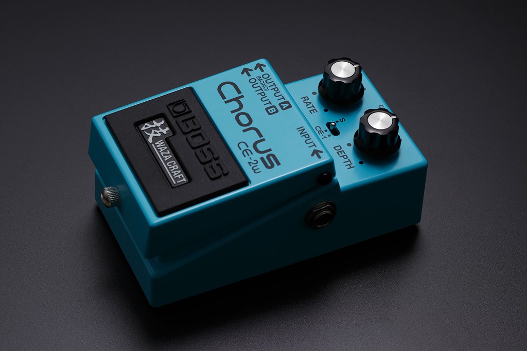 CE-2W_image2_gal.jpg