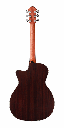 spectra-plus-omc-er-back-670x1340.png
