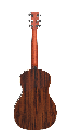 vintage-1-oom-sr-back.png