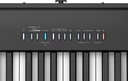 fp-30x-bk_panel_gal.jpg