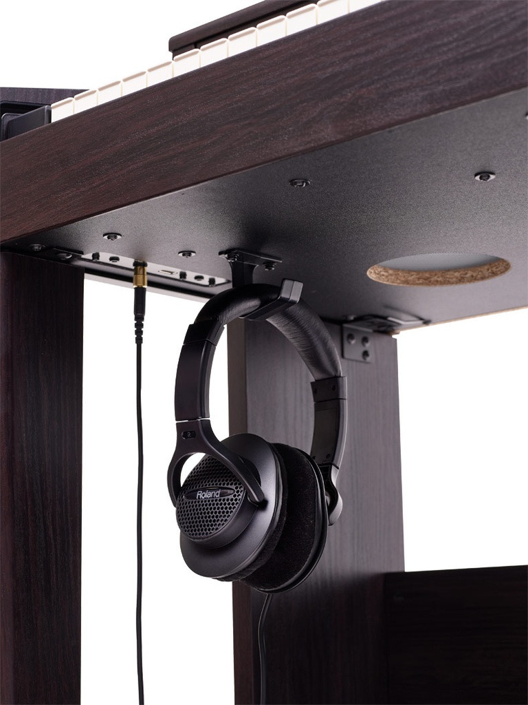 rp701-dr_headphones_gal.jpg