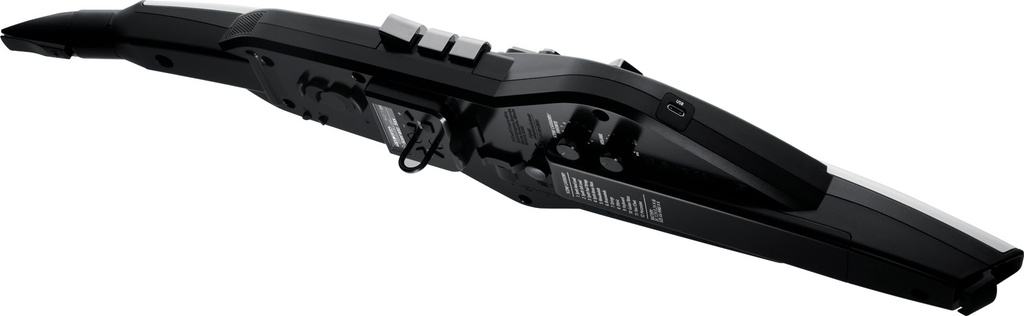 aerophone_ae-20_angle_left_gal.jpg