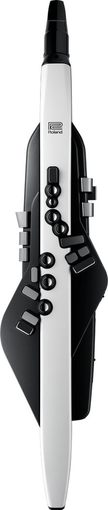aerophone_ae-20_top_gal.jpg