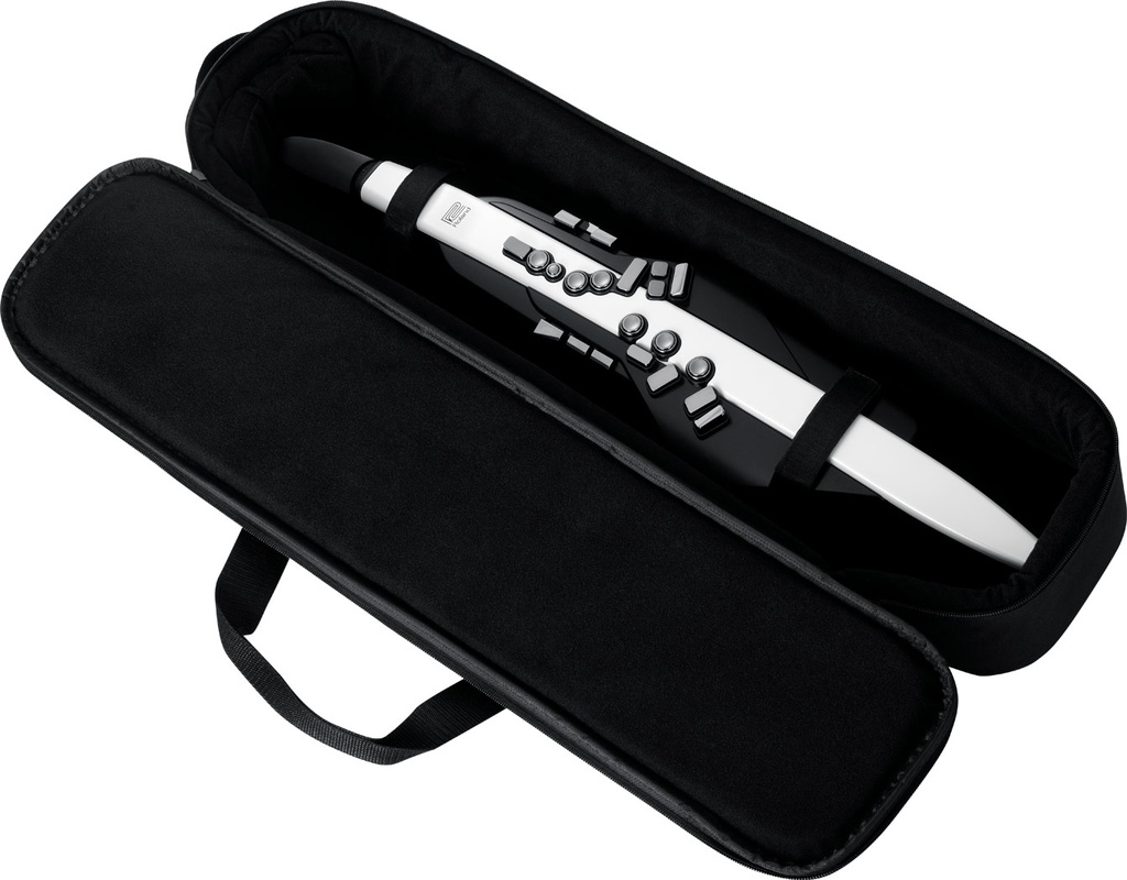 aerophone_ae-20_bag_open_gal.jpg