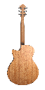 Blue-Plus-Gc-CM-back.png