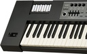 juno-ds88_battery_gal.jpg