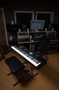juno-ds88_aquile_me-studio3_gal.jpg