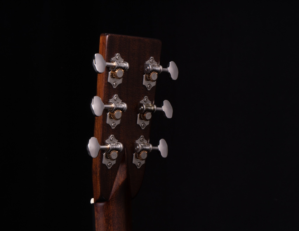 OMCB-TS_6 headstock rear