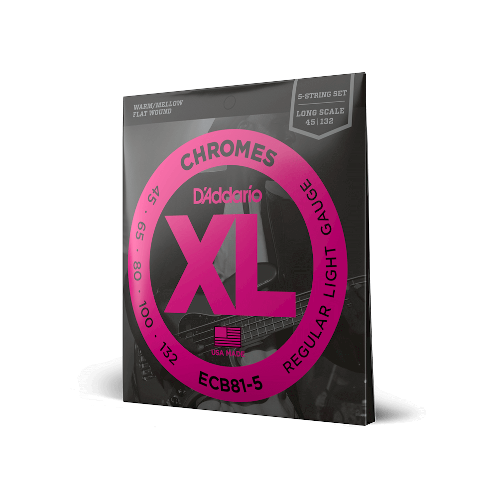 D'Addario ECB81-5 5-String Bass Guitar Strings, Long Scale - XL Chromes, Regular Light