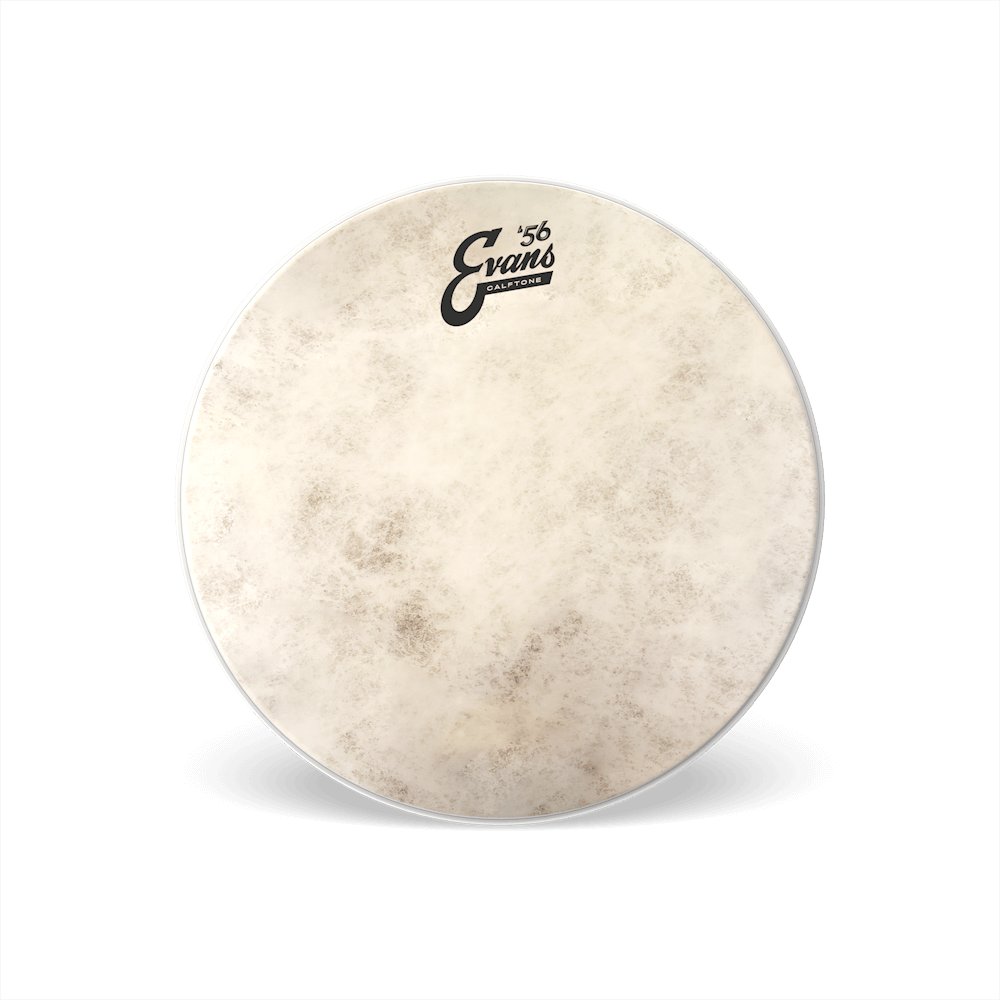 Evans Calftone Drumhead 14"