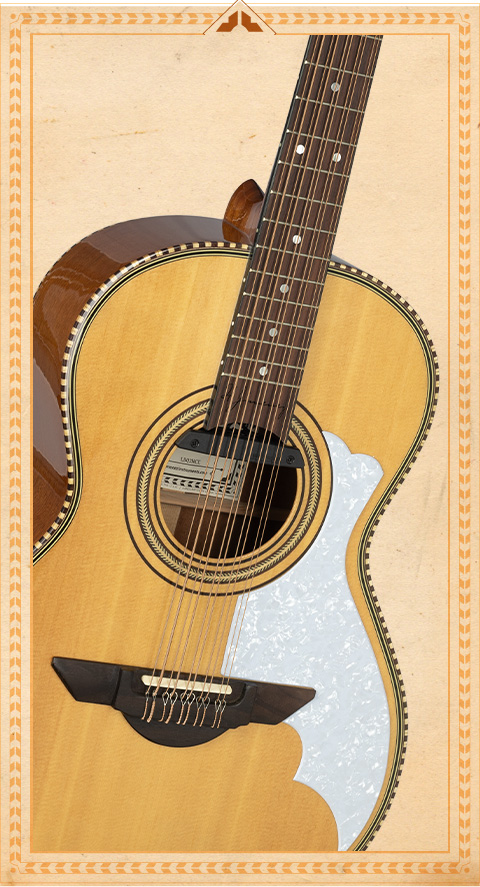 H Jimenez El Musico Bajo Quinto Non-Cutaway