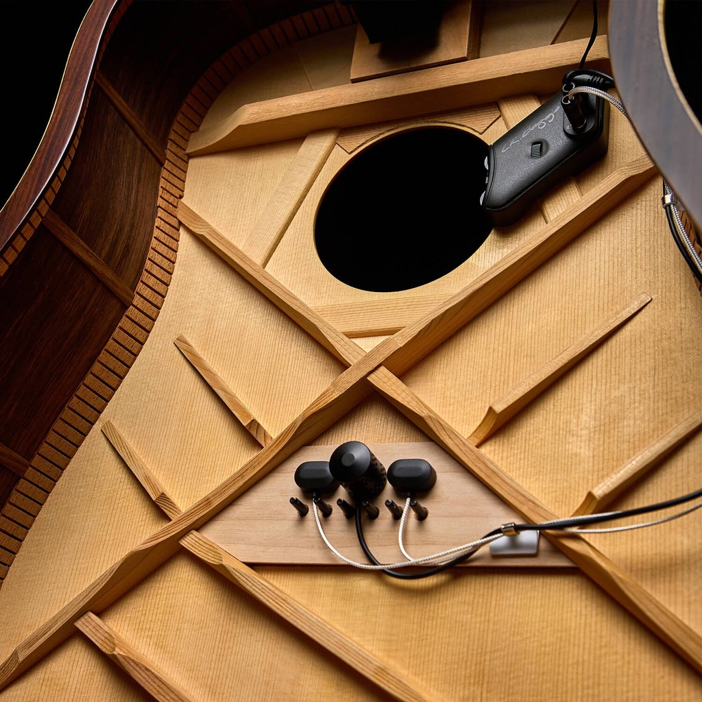LR Baggs HiFi Duet Blended Pickup