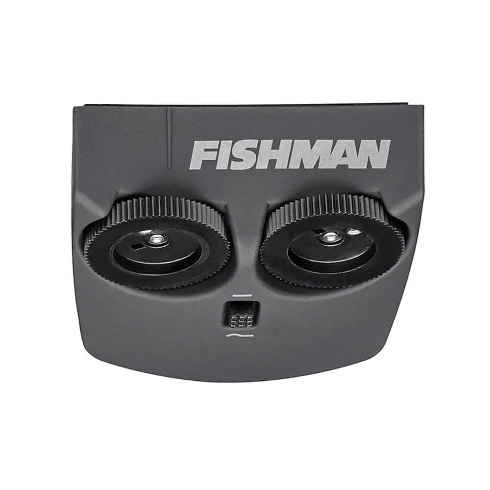 Fishman Matrix Infinity VT with wide format pickup