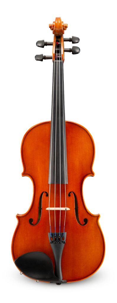 Samuel Eastman VA100 - 15" Viola Outfit