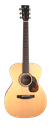 Furch Vintage 1 Plus SR OM with Anthem