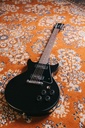 GS2 Deluxe Exotic Shadow Burst Zebrano