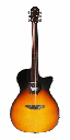 Furch Spectra Plus Gc Sienna Amber OM Acoustic Guitar