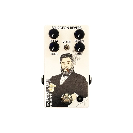 [WE-SHR] Westminster Effects Spurgeon Reverb V2